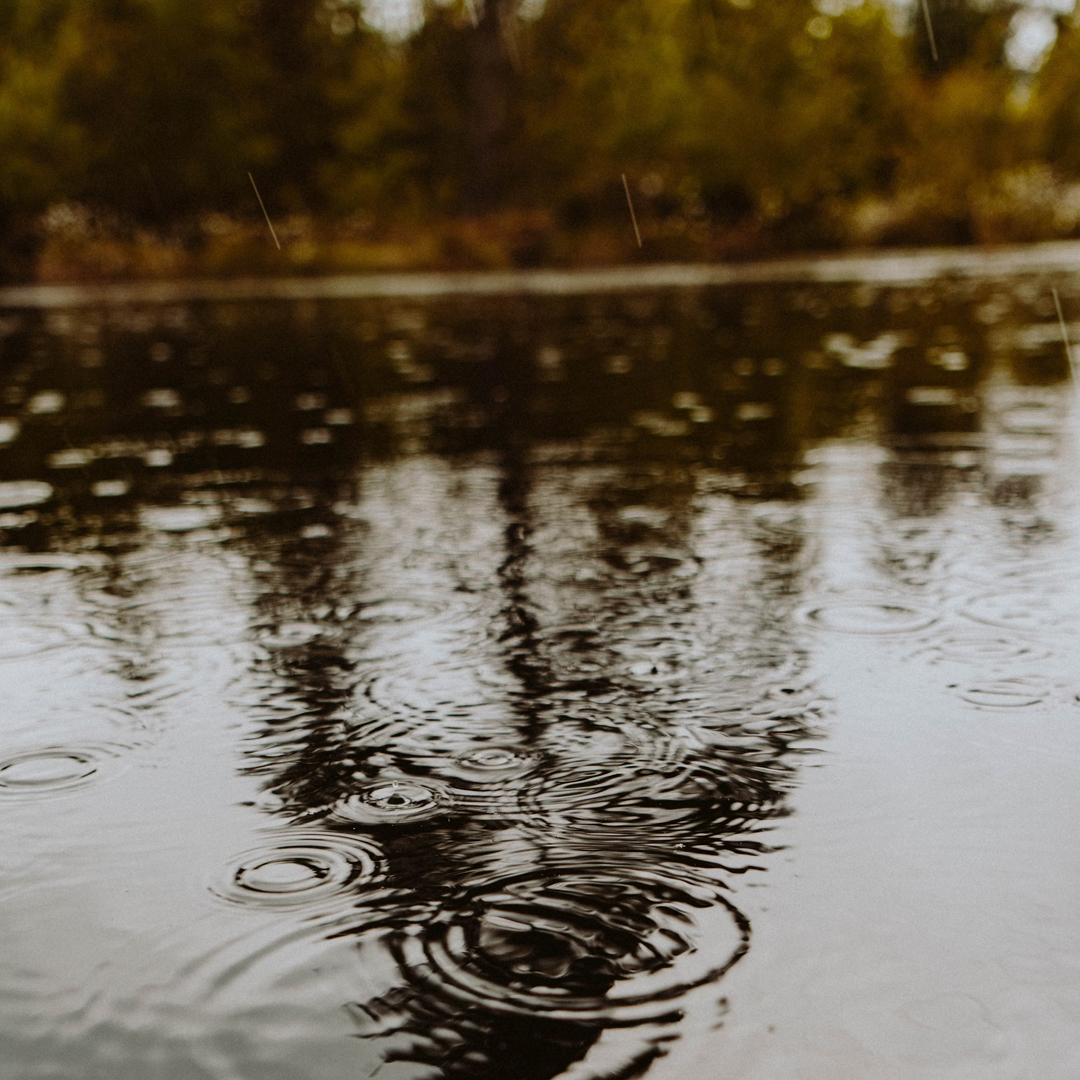 kapha - water and earth